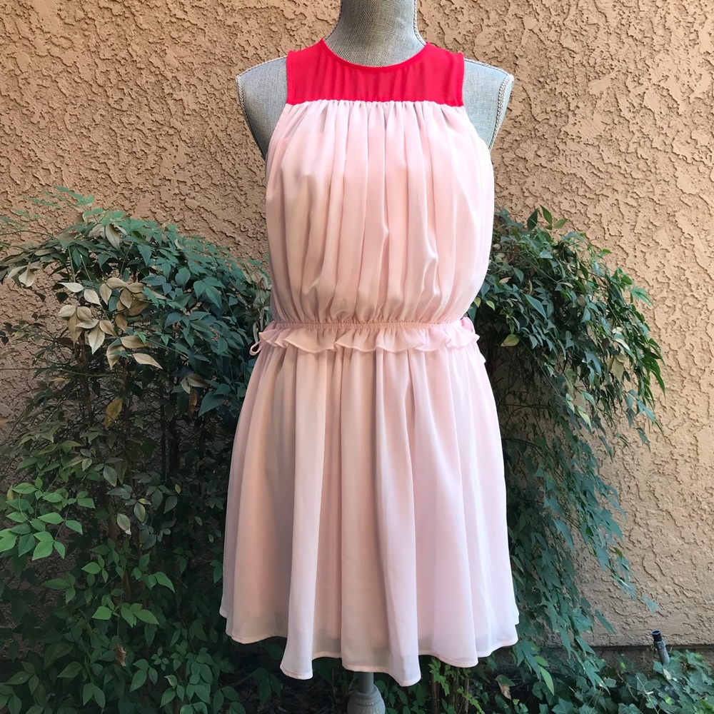 Express Pink and Red Pleated Mini Dress